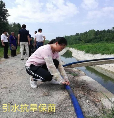 bbin官网2.jpg