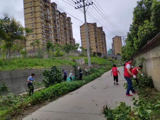 QQ图片201909031703062.jpg